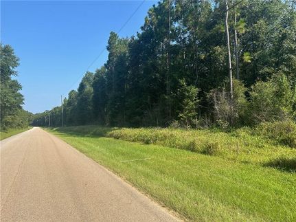 Undeveloped Land for sale in Mobile County, Alabama