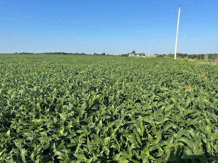 Undeveloped Land for sale in Keokuk County, Iowa