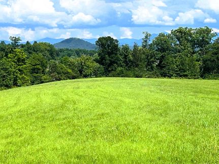 Undeveloped Land for sale in Monroe County, Tennessee