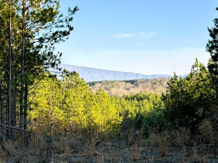 Lakefront Property for sale in Polk County, Tennessee