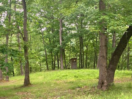 Timberland Property for sale in Braxton County, West Virginia