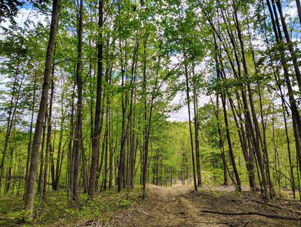 Farm Property for sale in Kanawha County, West Virginia