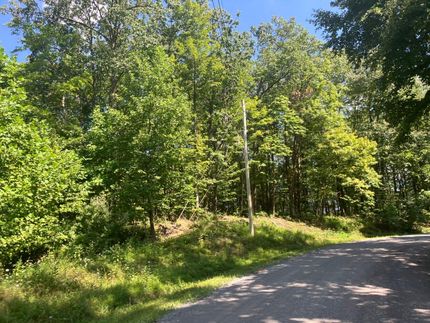 Recreational Property for sale in Nicholas County, West Virginia