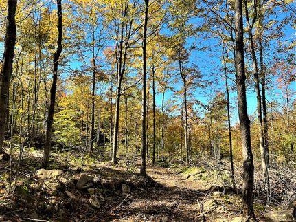 Property in Cattaraugus County, New York