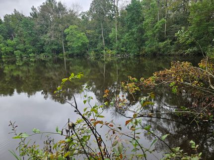 Property for sale in Covington County, Mississippi