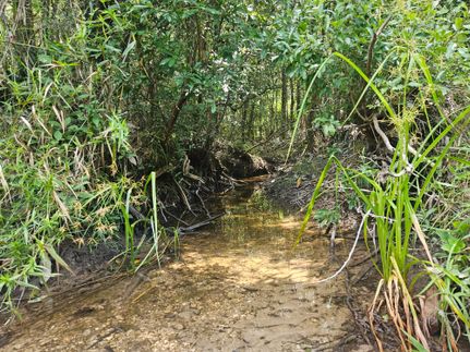 Property for sale in Pearl River County, Mississippi