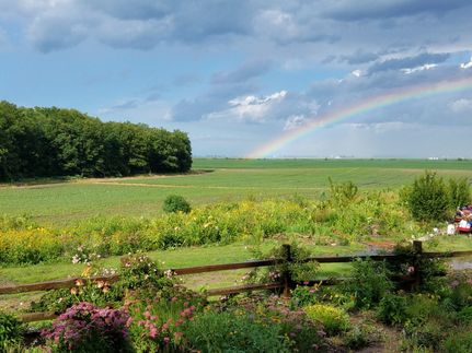 Hunting Land for sale in Mason County, Illinois
