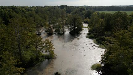 Hunting Land for sale in Gibson County, Tennessee