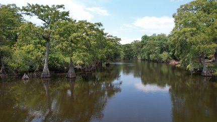 Horse Property for sale in Saint Landry Parish, Louisiana