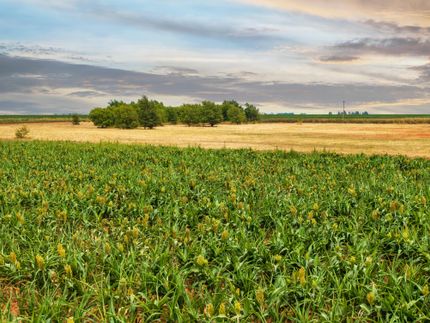 Farm Property in Hockley County, Texas