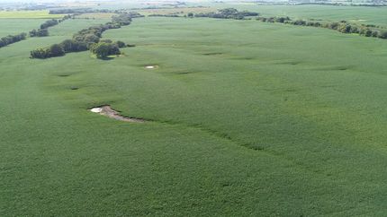 Property for sale in Taylor County, Iowa