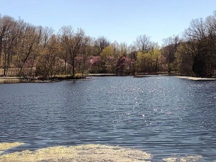 Recreational Property for sale in Webster County, Missouri