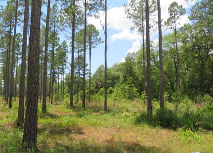 Property for sale in Gadsden County, Florida