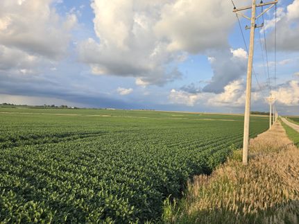 Property for sale in Ogle County, Illinois