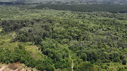 Property for sale in Ouachita Parish, Louisiana