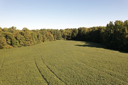 Farm Property in Mecklenburg County, Virginia