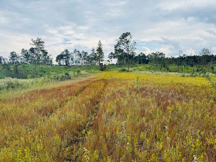 Property for sale in Jefferson County, Mississippi