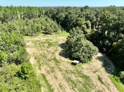 Property for sale in Pulaski County, Georgia