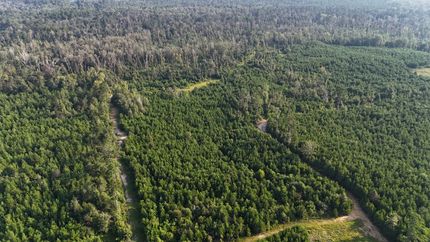 Property for sale in Vernon Parish, Louisiana