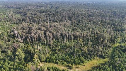 Property for sale in Vernon Parish, Louisiana