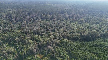 Property for sale in Vernon Parish, Louisiana