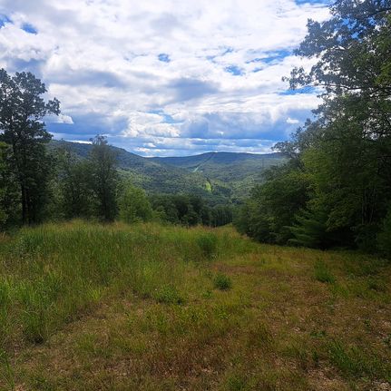Undeveloped Land for sale in Tioga County, Pennsylvania