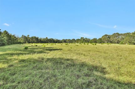 Hunting Land for sale in Walker County, Texas