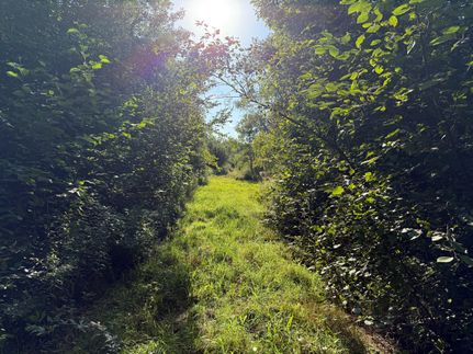 Property for sale in Price County, Wisconsin