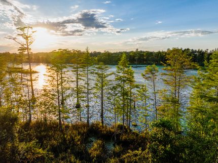 Farm Property for sale in Geneva County, Alabama