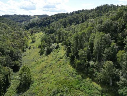 Farm Property for sale in Lewis County, West Virginia