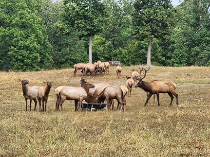 Undeveloped Land for sale in Morgan County, Missouri