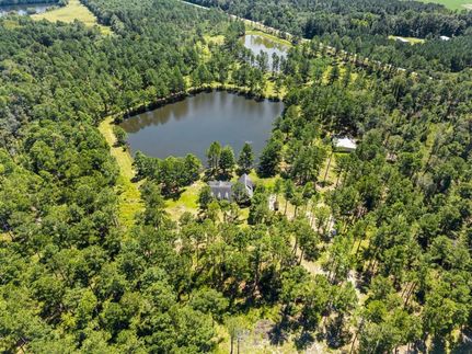 Recreational Property for sale in Screven County, Georgia