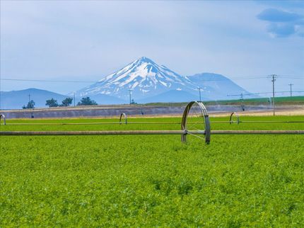 Farm Property for sale in Siskiyou County, California