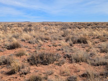 Timberland Property for sale in Apache County, Arizona