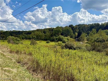 Undeveloped Land for sale in Carroll County, Ohio