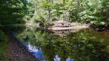 Recreational Property for sale in Arenac County, Michigan