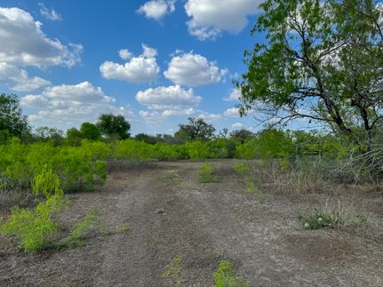 Undeveloped Land for sale in Bee County, Texas