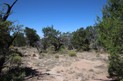 Farm Property for sale in Apache County, Arizona