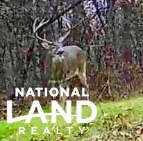 Timberland Property for sale in Adams County, Mississippi