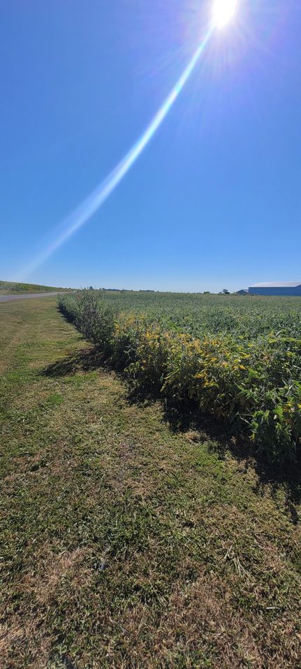 Property for sale in Madison County, Ohio