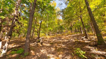 Property for sale in Pike County, Ohio