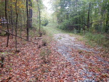 Hunting Land for sale in Rutland County, Vermont