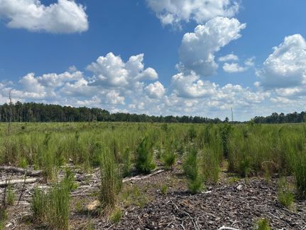 Recreational Property for sale in Simpson County, Mississippi