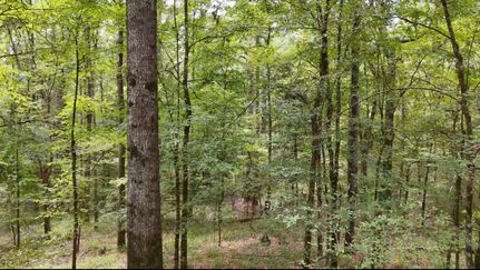 Ranch Property for sale in Copiah County, Mississippi