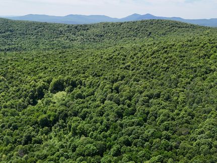 Undeveloped Land for sale in Essex County, Vermont