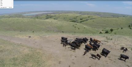 Property for sale in Lyman County, South Dakota