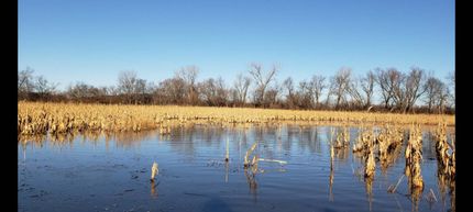 Undeveloped Land for sale in Andrew County, Missouri
