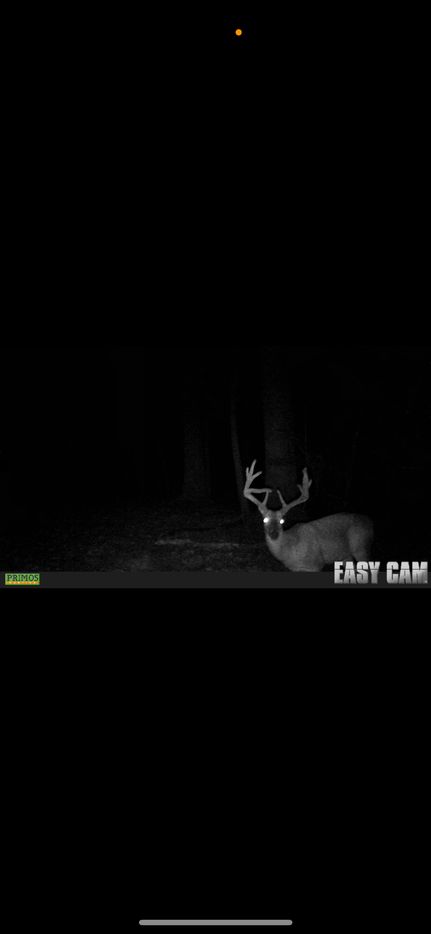 Recreational Property for sale in Hardeman County, Tennessee