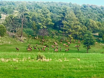 Ranch Property for sale in Lincoln County, New Mexico