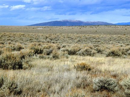 Undeveloped Land for sale in Taos County, New Mexico